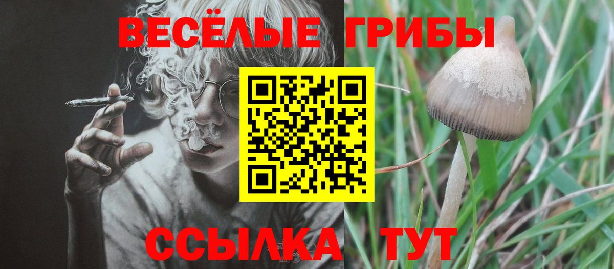 Галлюциногенные грибы ЛСД  Галлюциногенные грибы мицелий  Вход с VPN  Звенигород 